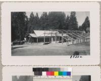 The new 4-H camp cookhouse and dining platform with the roof over the vegetable porch installed April 1950. The pole shelter is contructed of sequoia poles thinned from the young timber stands. Whitaker's Forest - April 1950. W. Metcalf