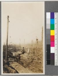 Gin-pole and loading system, Camp 21, Hammond Lumber Company, Humboldt County