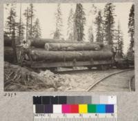 Type of car used by Yosemite Lumber Company. Showing calk-head to hold logs on incline. 1923