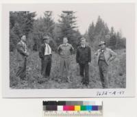 Christmas tree land near Shelton, Washington. Siebert, Jensen, Goodmonson, Gene Hofsted. Mr. Jensen, 2nd from left, set out a few Scots pine in this clearing along a power line. Brochdale, Washington. Hofert Christmas tree land. Metcalf. Sept. 1952