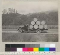 A truckload of spruce veneer bolts on way from Del Norte County north of Requa to Arcata. Photo at Orick. August 19, 1935. E.F