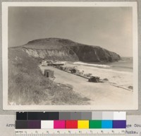 Arrow in vegetation on bluff near Laguna Beach, Orange County. [1938?]