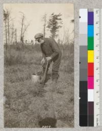 An old planter using the broad bladed Michigan dibble on Houghton Lake State Forest. Practically all of the stock used is 2-0 and is small. May 1924