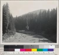 Looking up South Fork Eel River from Bull Creek Road, near Highway steel bridge. Light spot on right hand (west) bank and light spot on gravel bar are from sun shining down Bull Creek and they mark junction of Bull Creek with South Fork. Aug. 12, 1956. E.F