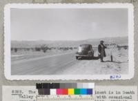 The lowest point on the continent is in Death Valley - a sea of rocks and sand with occasional creosote bushes. Inyo County. 1946. Metcalf. [Woman pictured is probably Norah Metcalf.]