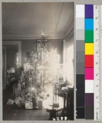 An 8-foot white fir tree from Whitaker's Forest was used at the Metcalf house Christmas 1941. It showed ten whorls of growth and was a very beautiful and symmetrical tree. Metcalf