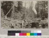 Second Growth Redwood Cutting Experiment, Project #688, Big River, Mendocino County, California. General view of cutting plot showing donkey engine, shear-legs, and car of logs. May 1923, E. Fritz