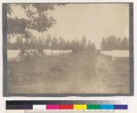 Michigan Agricultural College, Department of Forestry. Views taken during the 6 weeks summer term, 1910. General view of the camp street. Looking south toward the lake. At the headquarters of the Public Domain Commission, Roscommon County, Cold Springs on Higgins Lake, Michigan