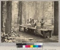 Camp Califorest Hand laundry. No tickee, no washee. Cameron, McCulley, Joy, and Felthouse. June 1936 E.F