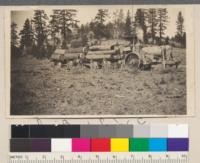 Davis Box and Lumber Company. Tahoe National Forest