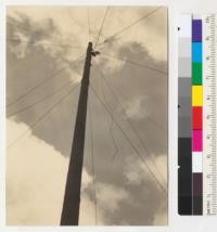 Redwood Region. Series of three views, 6037-8-9, showing man going aloft to put cable end through block after a break. Dolbeer and Carson Lumber Company. July 1936. E. F