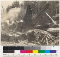 Redwood logging. The heavy heel-boom loader of Pacific Lumber Company, Monument Creek, Scotia, California. See also 6444-6. August 1937. E.F