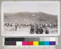 Parachutist fire fighters coming down at demonstration in Wasatch Mountains, Davis County, Utah. September 1946. Metcalf