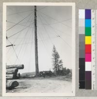 Redwood Region. William Hess' landing, Elk River Mill and Lumber Company. Elk River, Humboldt County, California. High pole for yarding. The chokers and carriage are in the woods for a "turn". Loading rig in action. See also #7098-7100. 5-13-42, E.F