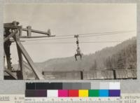 A member of the Camp Califorest class of 1926 returning to the sawmill from the yards and planing mills of the Spanish Peak Lumber Company over their lumber tramway. See also #3689. Joe Flynn on the sling