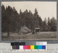 Road through yellow pine forest between Bartlett Springs and Upper Lake in southern part California National Forest. September 1918