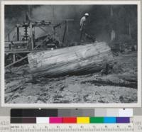 Redwood Region. Chris Gilson's operation on lower Turwar Creek. Klamath River, near Klamath, California. Titan chain saw used for ripping redwood logs. Single-saw sawmill in background. Showing start of cut. Aug. 17, '48. E.F