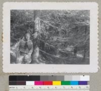 Woody Metcalf and Douglas fir tree he planted October 15, 1912. Picture taken September 28, 1952. Buck Creek Plantation, Stillaguamish River, Washington. Now part of the Glacier National Forest