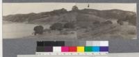 Panorama of Lake San Leandro (Lake Chabot) from point south of the dam showing Eucalyptus plantations. Position of those measured January 1920 indicated by arrow in picture at right hand side