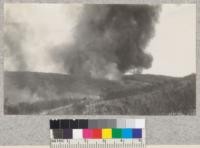 Fire in the dense chamise brush fields at Pardee Reservoir site, Calaveras County, September, 1928. Fire ran well up hill but would not travel on the level. Metcalf