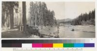 Panorama of Van Duzen River about 1 mile east of Cuddeback, showing river cutting away bank and highway in floods of 1937 and 1938. At phone pole #265. 4-9-38. E.F