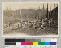 The way it looks for 40 miles on the upper Coeur d'Alene River, Idaho. 1924