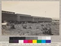 Car camp of Pacific Lumber Company, Freshwater, California. Three cars end to end at the right constitute the kitchen. May 1921