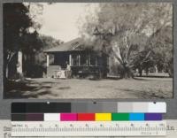 Small cottage, water tank and casuarina in left foreground. Santa Monica Forestry Station. Jan. 1918