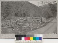 Clean up work and rock check dams constructed by unemployed in Devil Canyon, San Bernardino County. Spring 1933. Metcalf