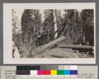 Yarding logs with McGiffert jammer. Shows back-line, butt-line, choker, side, and top guys and loading line (at right). South Bend Spark Arrester (near Delliker)