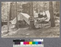 Camp Califorest '20. Tent of Gerhardy and Tissot