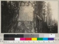 W. E. Cooper of Dos Rios, Mendocino County, and large pine tree which died during 1930 as result of fires and drought