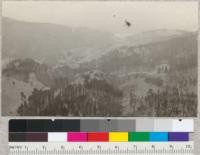 View west from Grizzly Peak lookout tower with California Memorial Stadium in the background. Forest plantations in foreground all burned over by fire of September 17, 1923. Taken September, 1924