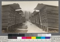 A nice alley of thick pine. Note overhanging roof boards, thick stickers, high foundations. Gray's Flat Yard (on Northwestern [sic] Pacific Railroad) of the Spanish Peak Lumber Company, Quincy, California. August, 1920. E. F