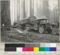 A large redwood log on a truck at Hammond's Carlotta operations. June 1935. E. F