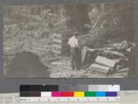 Making shakes at Curry's camp #2 near Fish Creek. South Fork of Eel River. Humboldt County, California. 5-21-20. E.F