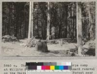 The Civilian Conservation Corps camp at Willits did some effective fire hazard removal on the University property at Howard Forest near Willits. Brush piled ready for burning. Sept. 1933. Metcalf