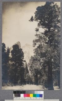 Cathedral Rocks - Yosemite Valley