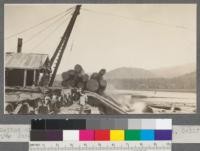 Method of unloading logs at Weed Lumber Company, Weed, California. June, 1920. E.F