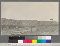 Cars of stave bolts of spruce, white fir, hemlock and Douglas fir. 150 cords used on one day. California Barrel Company, Arcata, California. May, 1920. E.F. 5.52