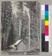 Camp Califorest. New bathhouse, flagpole, "D" tents and camp fire circle. Looking north. 7-21-39. Emanuel Fritz