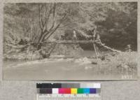 Pole bridge over Powder Mill Creek built by Santa Cruz troop of Boy Scouts under direction of R. E. Burton, Santa Cruz. W. Metcalf, May 1923