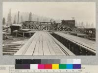 The elevated sorting table of the Spanish Peak Lumber Company near Camp Califorest, showing three students taking notes for a millscale study. The table is elevated not for sorting so much as for pulling off the stock to be kiln dried. The tracks in the foreground lead to the dry kilns. July, 1926