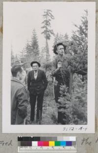 The Christmas tree demonstration near Shelton, Washington. Pruning a Douglas fir with a machete. Sept. 1952. Metcalf