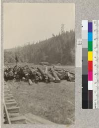 Temporary roll-way for second growth logs at log dump on Big River. In the background are the trestle and unloading scheme for the regular run of old growth logs. E. Fritz, May 1923