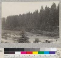 A series of 8 views (#4636-4643) of tops of trees of Dyerville Flat, Redwood Highway. Taken from high bank above road at north end of new bridge over South Fork Eel River near its mouth. E. F. July 17, 1932