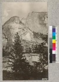 The face of Half Dome, Yosemite National Park, from the trail above Mirror Lake. Crown of Yellow Pine center and Canyon Live Oak on the right. Metcalf, 1925