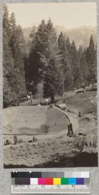 Hauling in rock with the team to fill in the quick sand spring in the bottom of the swimming pool. Whitaker Forest, 1930