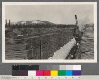 Red River Lumber Company, Westwood, California. Yards in late winter, showing loco crane handling lumber units, also showing rough method of piling