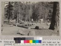 Campground in Sequoia National Park laid out to prevent cars being driven too close to base of trees. Frank Been, naturalist. September 1932. Metcalf